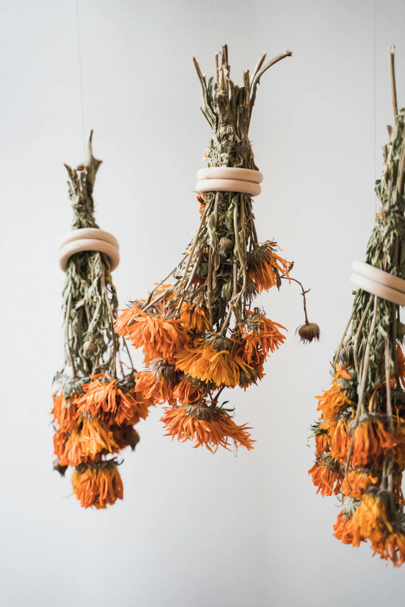 Tied bundles of dried flowers and herbs for blessing sprigs