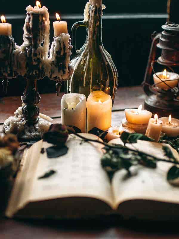 WhatsApp Image 2026-02-11 at 12.51.11 (4)