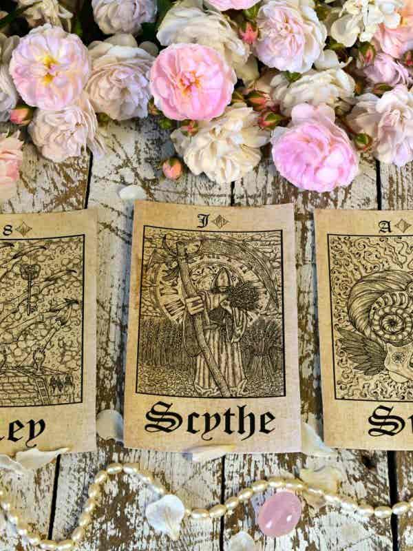 WhatsApp Image 2026-02-11 at 16.25.51