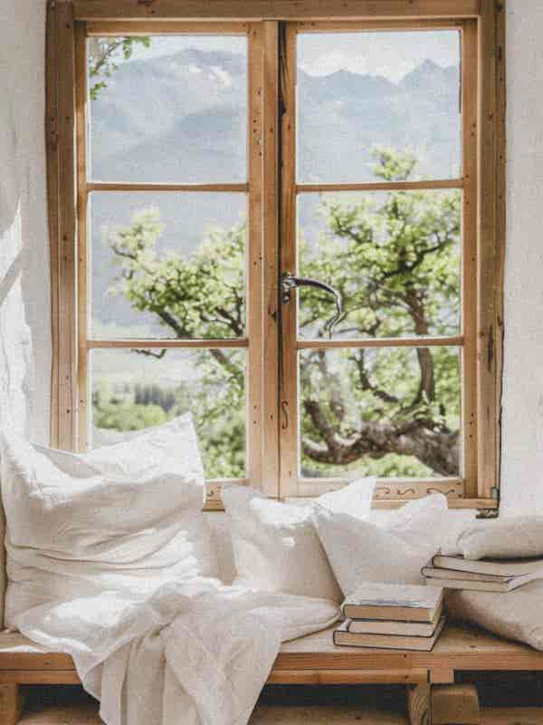 WhatsApp Image 2026-02-11 at 16.25.57