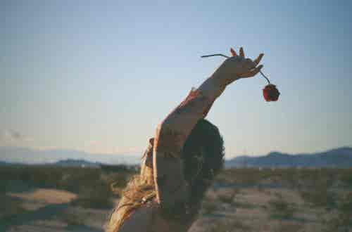 WhatsApp Image 2026-02-11 at 16.26.48