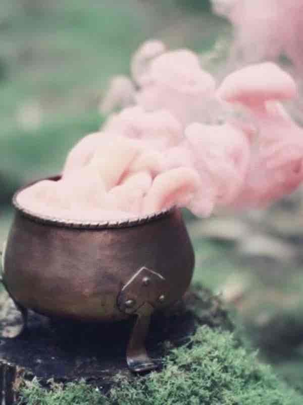 WhatsApp Image 2026-02-11 at 16.27.12