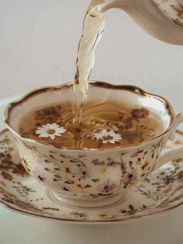 WhatsApp Image 2026-02-11 at 16.27.22